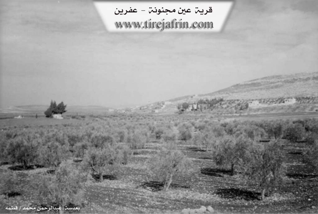 Photo of Ein Majnoun